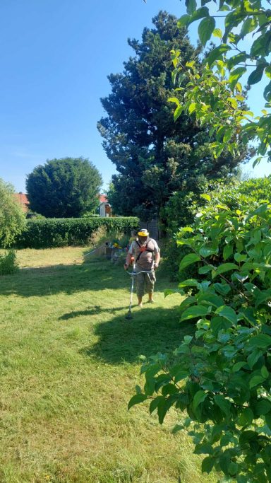 Aufräumarnbeiten in einem Garten welcher neu vergeben werden soll