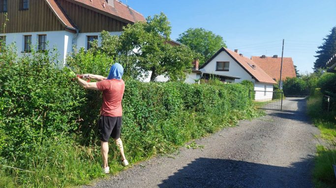 Heckeverschnitt unter Extrembedingungen